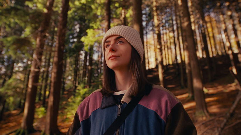 Devil's Glen Wood in Autumn